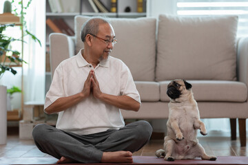 Asian elderly senoir man doing yoga with dog pug breed in living room at home,Happy Retired at home...