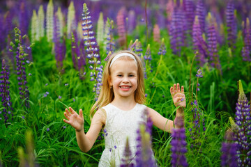 A little girl in a white dress in a field with flowers. A girl with purple lupine flowers. A child in nature.