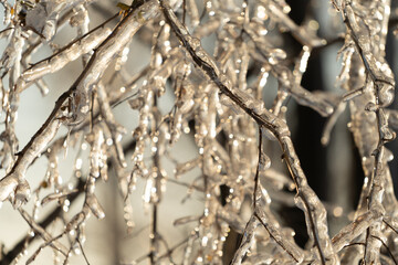 Natural background with ice crystals on plants