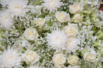 bunch of beautiful colorful dilicated flower