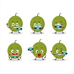 Photographer profession emoticon with melon cartoon character