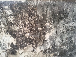 Obraz premium Old wall texture dirty vintage black white gunge style background.