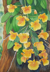 yellow orchid flowers on a tree