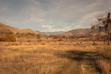 winter forest, field in the mountains, mount path