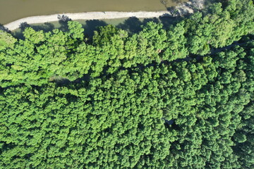 mangrove forest aerial view photography drone