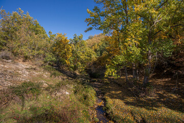 Views of the Fontarron stream, a small watercourse in the municipality of Riofrio de Riaza, province of Segovia, Spain