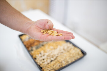 Male hand holding peanuts above a black tray with seeds and nuts
