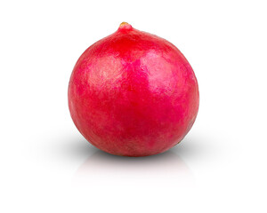 Red radish isolated on white background with clipping paths.