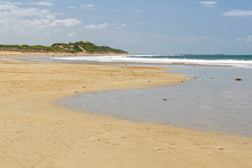 This beautiful stretch of beach was named after Andrew White, an English settler - Torquay, Victoria, Australia