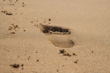 footprint in beachsand