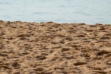 sand dunes at a beach close up