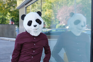 Young business man wearing a panda head mask reflected on a glass of a corporate building. Bizarre businessman.