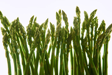 asparagus on white background