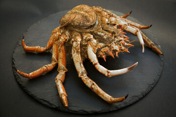 raw atlantic crab close-up on black background, soft focus. 