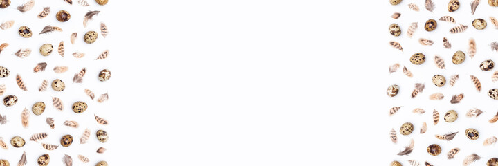 Banner made with quail eggs and bird feathers on a white background. Top view Flat lay Copy space