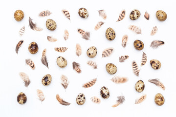 Pattern made with quail eggs and bird feathers on a white background. Top view Flat lay