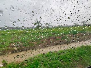 rain drops on the glass