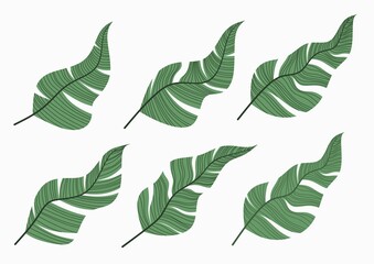 Vector set of one line drawing abstract leaf. Hand drawn modern minimalistic design for creative logo, icon or emblem