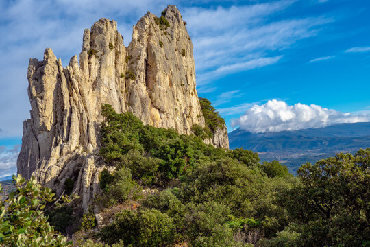 Les dentelles de monmirail in France 