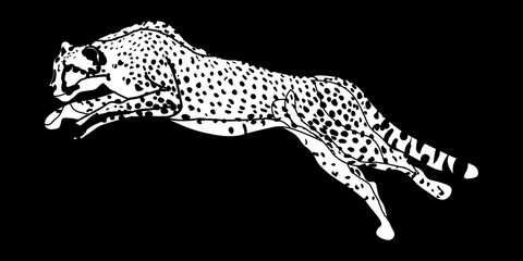 Leopard vector black and white drawing. Template for a tattoo. Leopard in a jump.