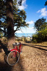 Fototapeta premium Bord de mer sur l'île de Noirmoutier en Vendée, France.
