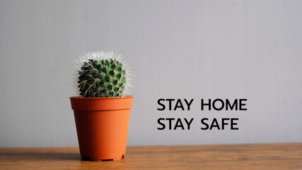 Stay Home to reduce risk of infection and spreading the virus. Save planet from Corona-19. Stay safe, stay inside home.
