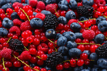 Blackberry, raspberry, blueberry,  red currant and mint background.