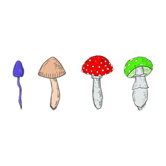 Inedible mushrooms. Vector cartoon illustrations. Isolated objects on a white background. Hand-drawn style.