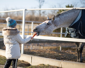 Girl feeding the horse outdoor