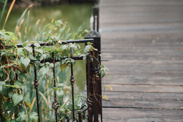 Wrought iron fence with greenery plants, ivy and wooden pontoon over pond. Country side home exterior with green nature and lake. Metal vintage railing detail and leaves. Selective focus. 