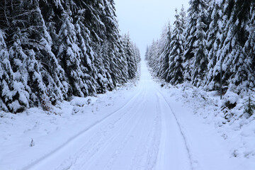 snowy path for cross-country skiers