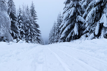 snowy path for cross-country skiers