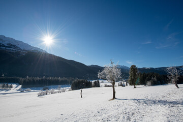Salzkammergut, Loipe in Bad Mitterndorf unterhalb des Grimming, Nahe der Tauplitz, Steiermark, Österreich im Winter