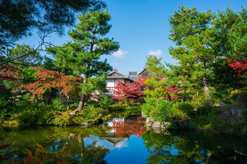 Fototapeta na wymiar 京都　等持院の庭園と紅葉