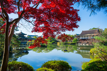 京都　平安神宮の紅葉　尚美館と泰平閣
