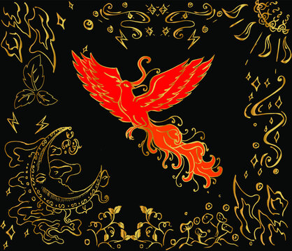 illustration with mystical bird phoenix fiery color.