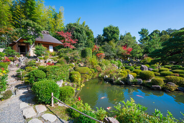 京都　等持院の茶室と庭園　紅葉