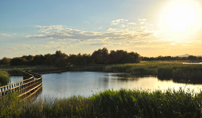 Tablas de Daimiel National Park at sunset, Biosphere Reserve since 1981, Castilla la Mancha, Spain
