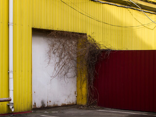 The back yard of a yellow industrial building. The house is covered with metal sheeting. Gray...