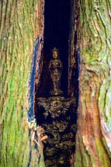 木の中の仏様