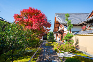 京都　大徳寺の塔頭寺院　興臨院の紅葉