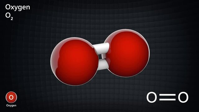 Oxygen is a chemical element with symbol O and atomic number 8. The molecule is shown from 2 sides. 3D render. Seamless loop. Ball and Stick chemical structure model.