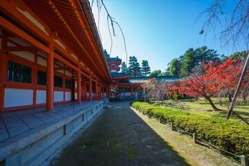 Fototapeta premium 京都 平安神宮の紅葉