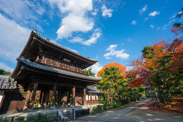 京都　建仁寺の三門と紅葉