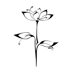 ornament 1455. blooming flower with large petals on the stem with leaves in black lines on a white background