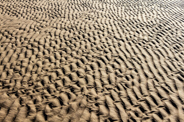 texture of sand