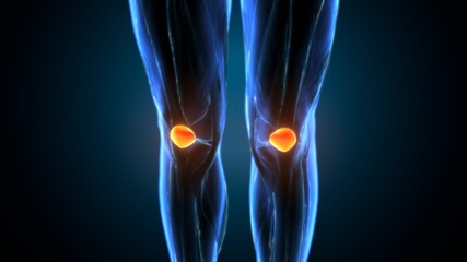 3d illustration of human knee joint anatomy
