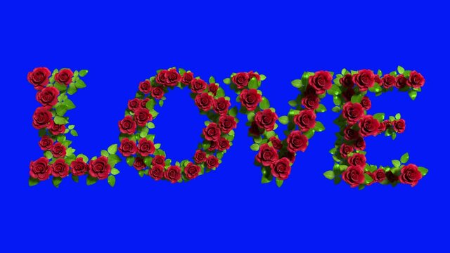 Inscription Love growing out of red roses with separating Alpha Channel mask in 4K