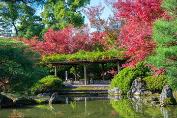 Fototapeta na wymiar 京都　城南宮の紅葉　室町の庭