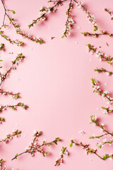 Twigs with flowers on pink background, frame